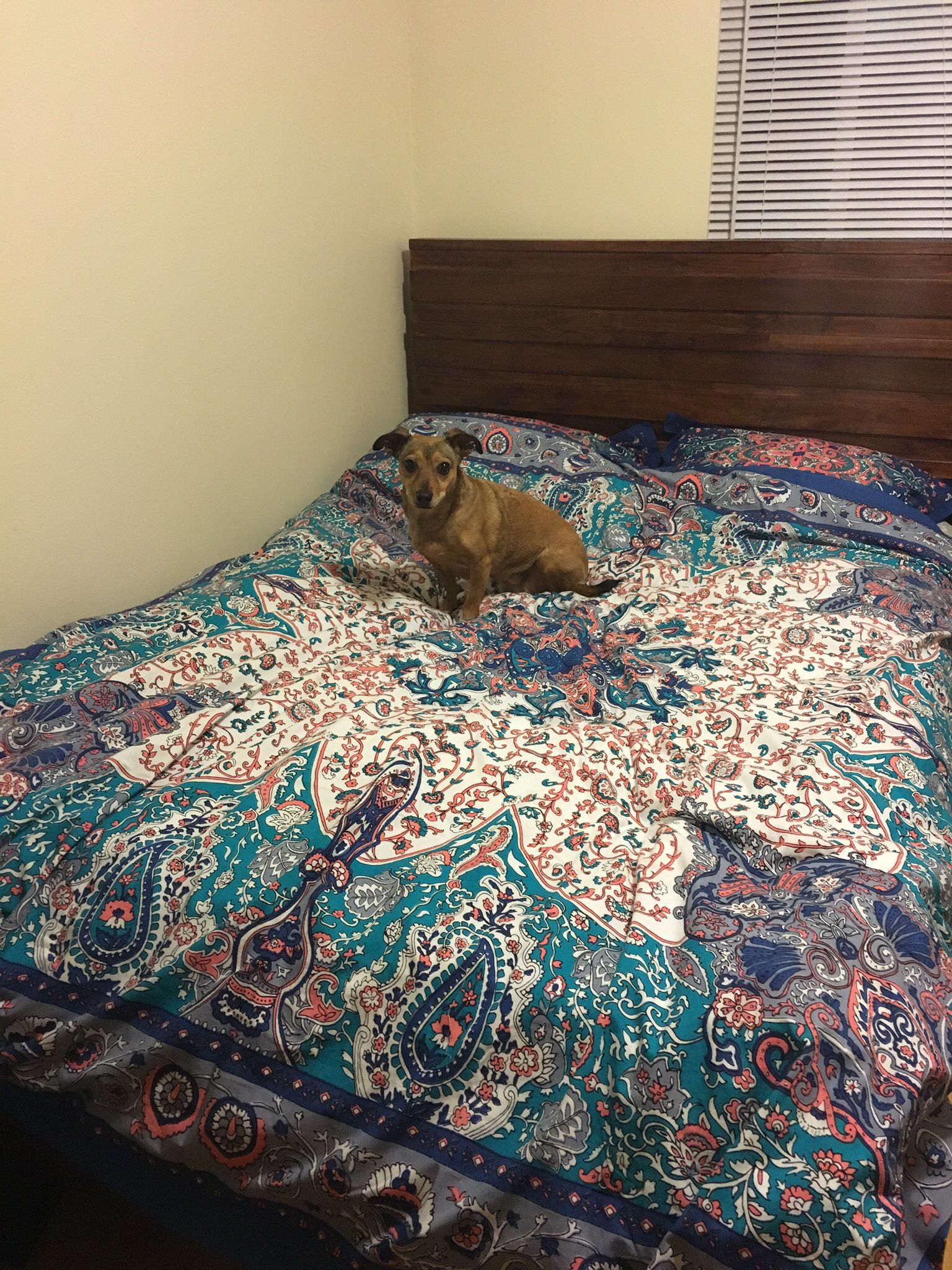 West Elm Stria Wood Full Size Bed Frame (with slats)