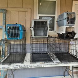Nice Used Excellent Condition Dog Crates. 20.00 Dollars Each.