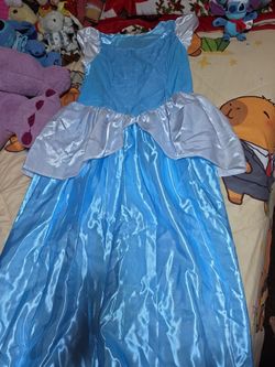 Cinderella costume for woman