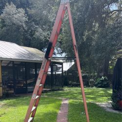10ft Ladder 