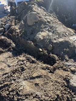 Free Delivery & Fill Dirt  