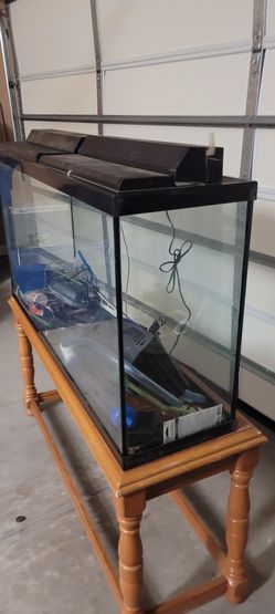 4ft Fish Tank With Accessoires  Thumbnail
