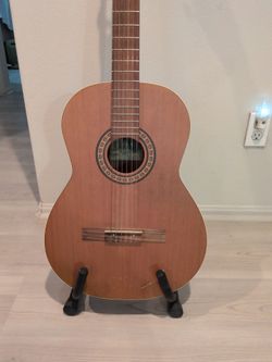 Professional Guitar
