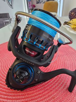 Dawa saltist 4500 reel