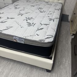 Full Size Mattress And Box Spring!