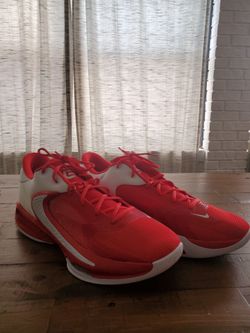 Nike Zoom Freak 4TB basketball shoes