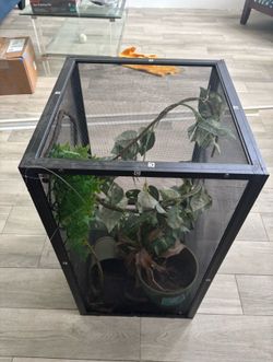 Reptile cage