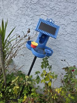 Hello Birdie Bird Bath