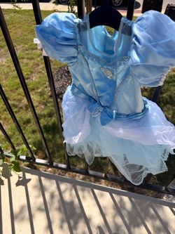 Cinderella Princess Costume Dress