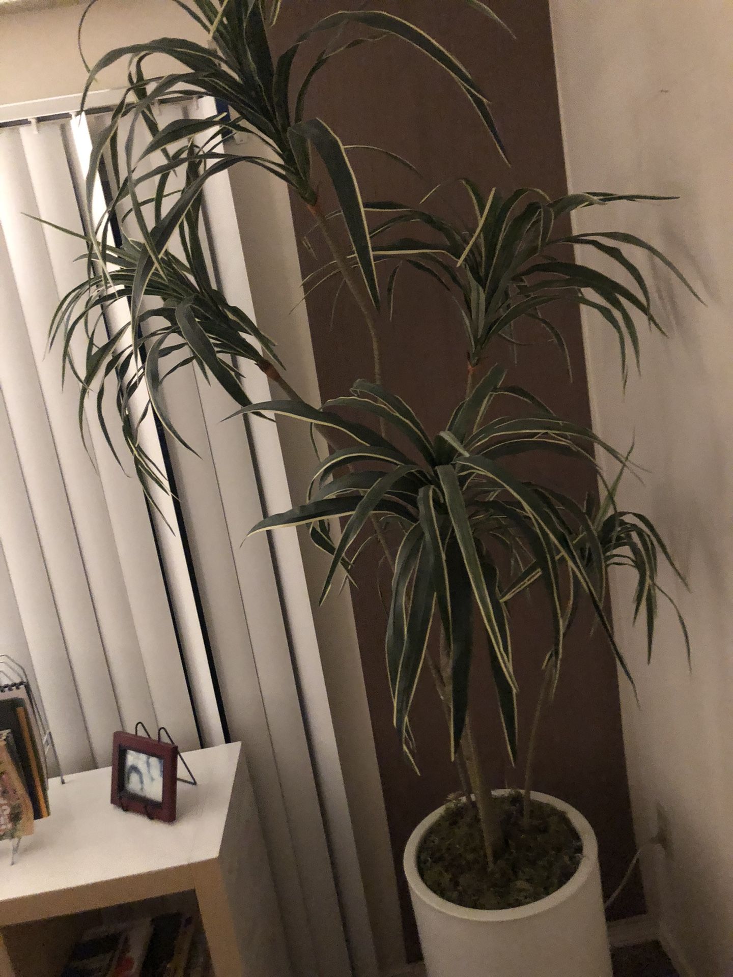 Large Tree from Home Goods