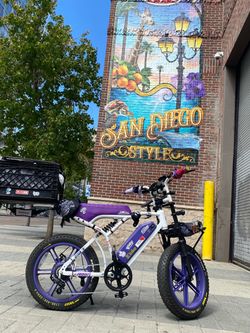 Customized ebike 1000 (OBO)