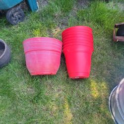 Flower Pots