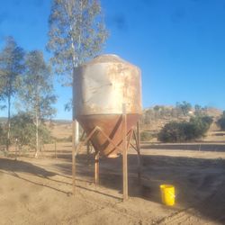 Grain Bin