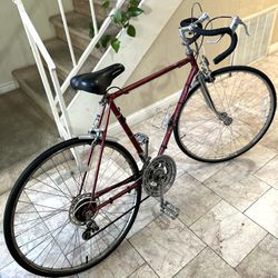 Nishiki Vintage Bike Excellent Condition 