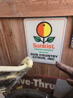 Sunkist  Sign 