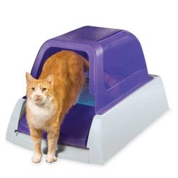 Automatic Free Scoop Cat Litter 