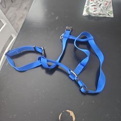 Large Dog Harness Collar