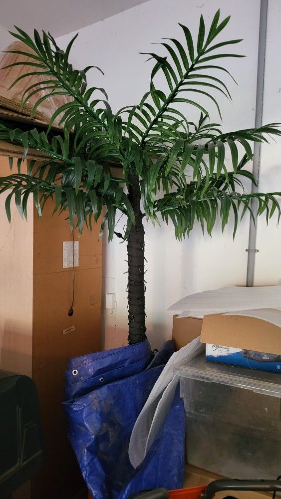 Pre Lit Palm Trees