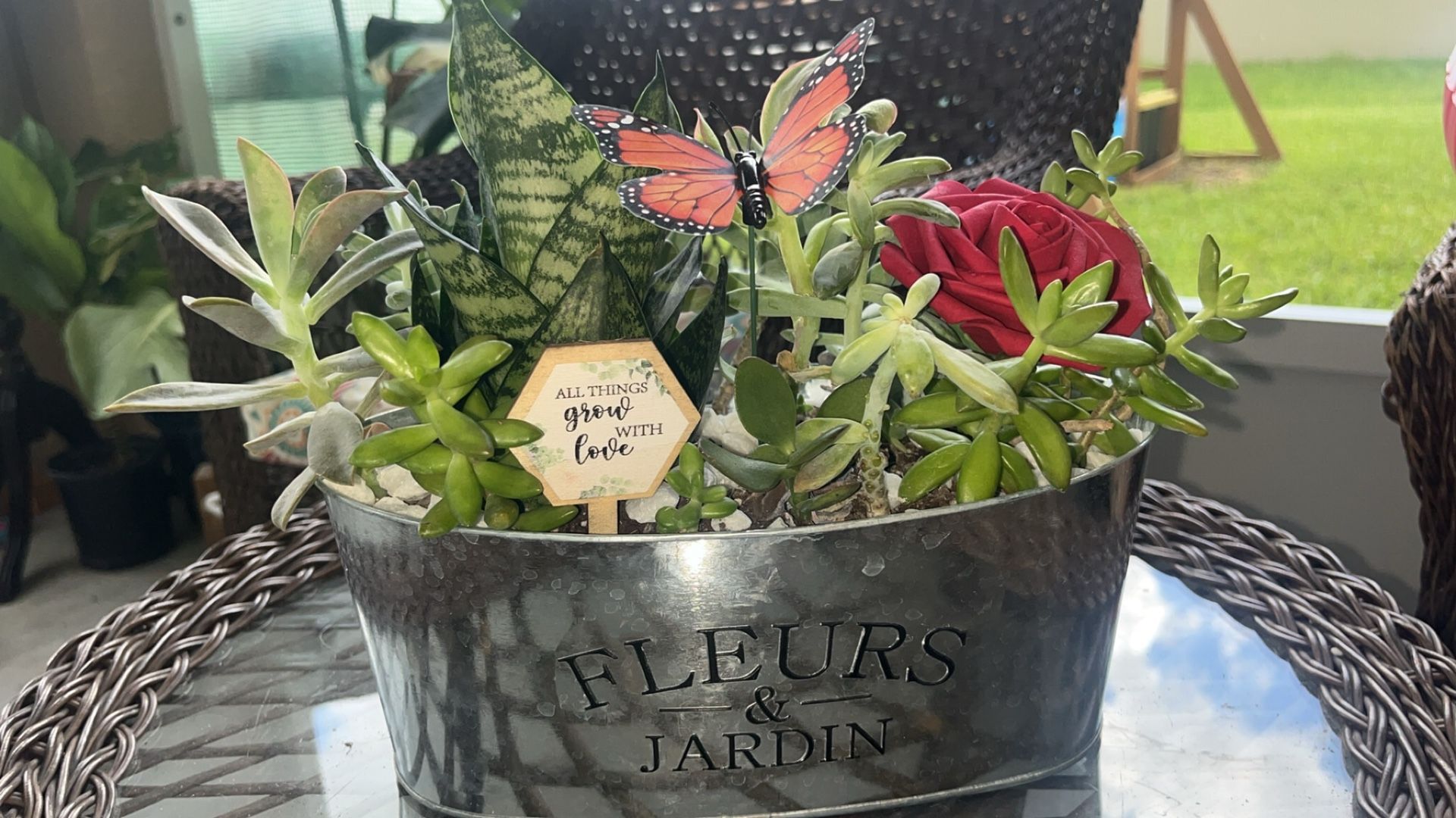 Succulent Arrangement 🦋 