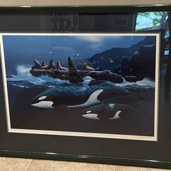 Killer Whales Illustration With Seals 