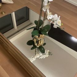 Coffee table mirrored with gold trim  43x24x18