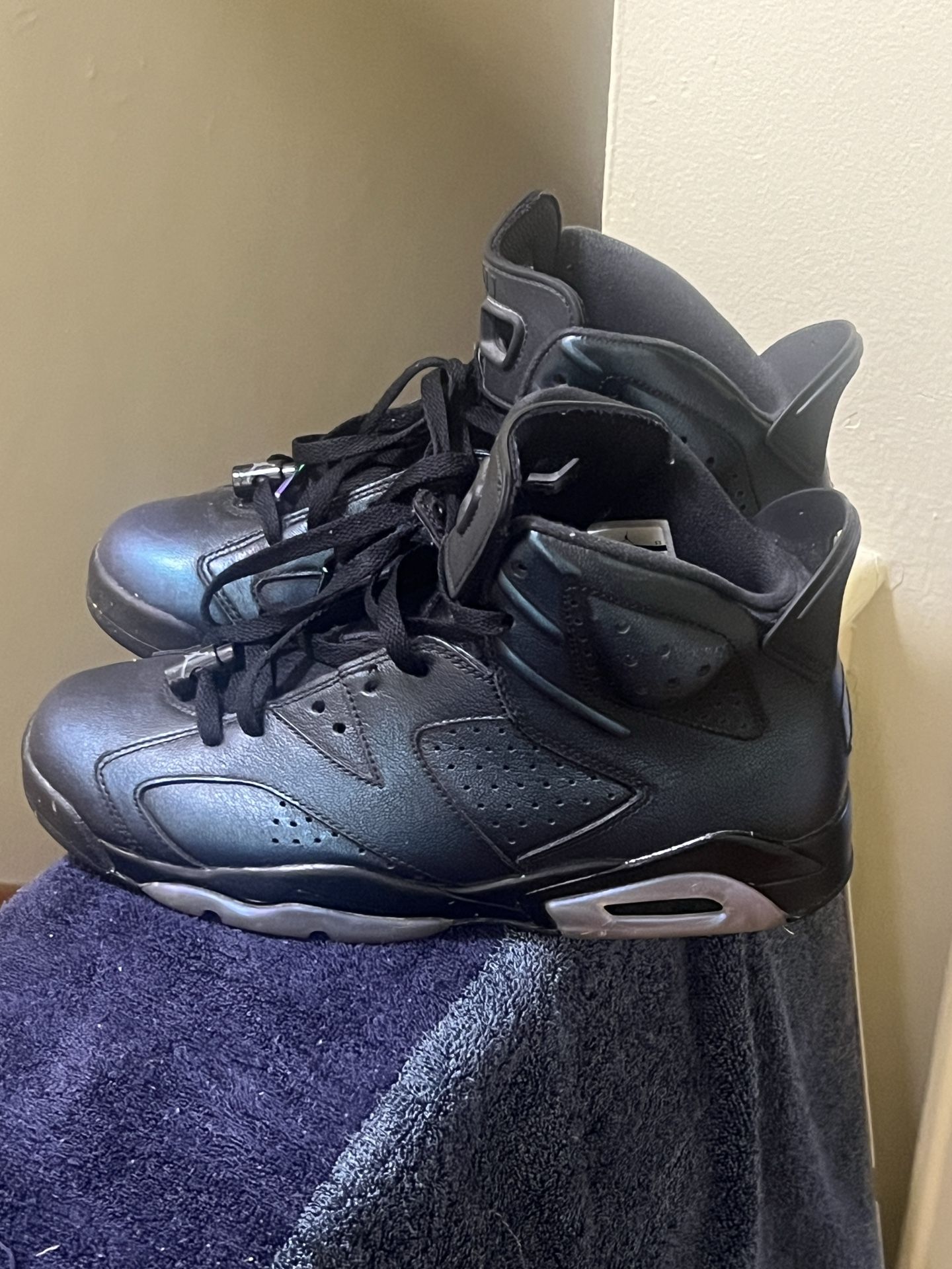 Air Jordan Retro All Star Chameleon