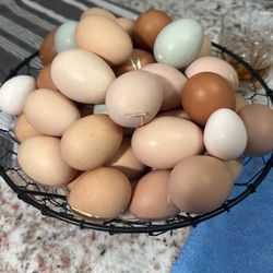 Organic Free Range Eggs