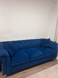 Royal Blue couch