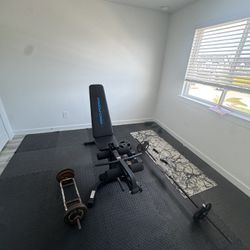 Gym Equipment + Gym Mirrors