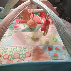 Skip Hop Farmstand baby Play Gym
