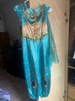 Princess Jasmine Costume Dress
