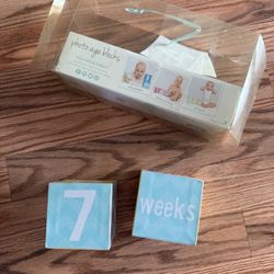 Baby Milestone Blocks For Photos 