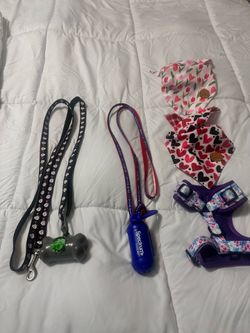Dog Leashes
