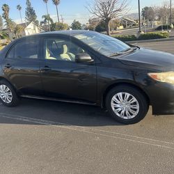 2009 Toyota Corolla LE