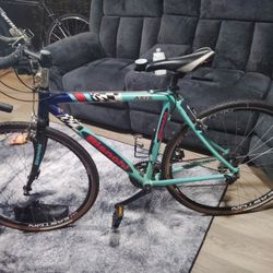 Bianchi Racing Bike 