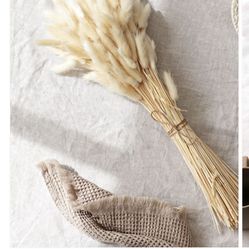 Pampas Grass & Bunny Tails 