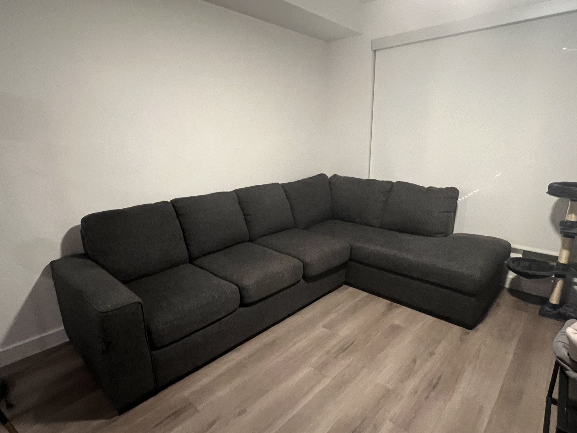 Couch With Pull Out Mattress Bed 