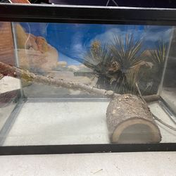 Tank