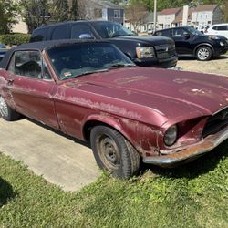 1967 Ford Mustang