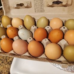 Farm Fresh Eggs 