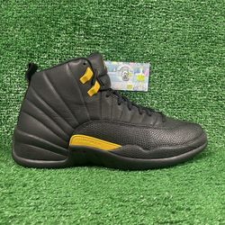 Jordan 12 Size 11.5