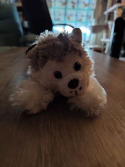 Vintage Husky Pup Laying Down