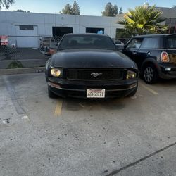 2008 Mustang Part Out