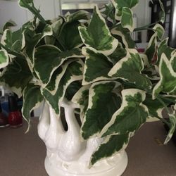 Artificial Plants   Beautiful 