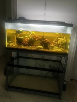 40 Gallon fish tank Setup // Open To Part Out