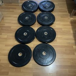 Bumper Plates