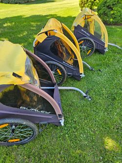 Three Burley Burley Bike Trailers all for $325

Obo.