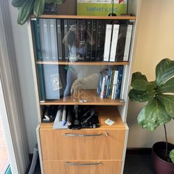 Glass File Cabinet And Bookshelf 