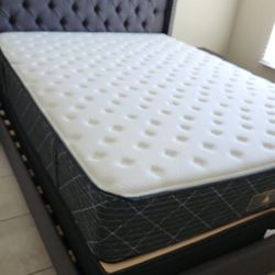 New Queen Matttesss And Box Spring 2pc Bed Frame Is Not Included 