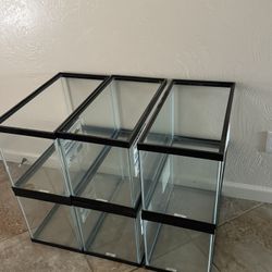10 Gallon Fish Tanks 